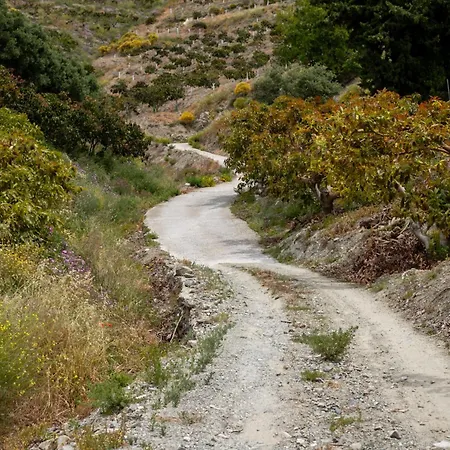Cortijo Rural Con Vistas Al Mar Y Silencio Natural Country house *